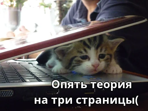 Стикер Котики ревьюверы