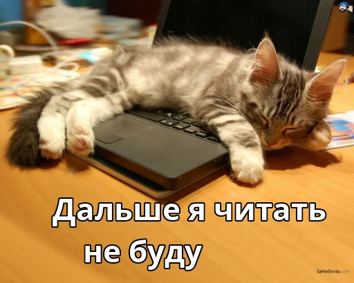 Стикер Котики ревьюверы