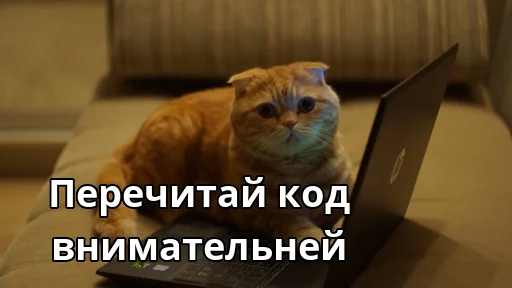 Стикер Котики ревьюверы