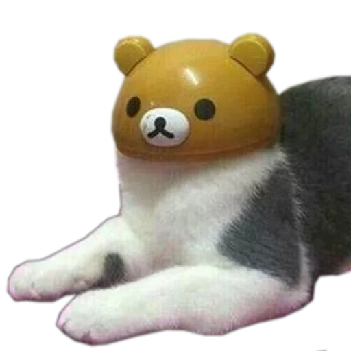 Стикер cats cats cats!