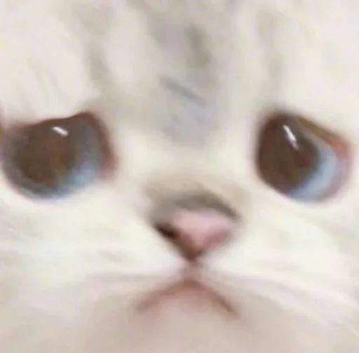 😔