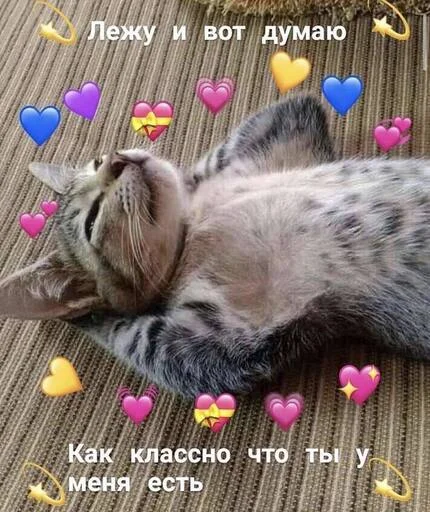 Стикер Котики