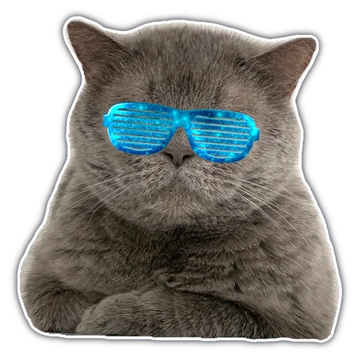 Стикер chatkasha