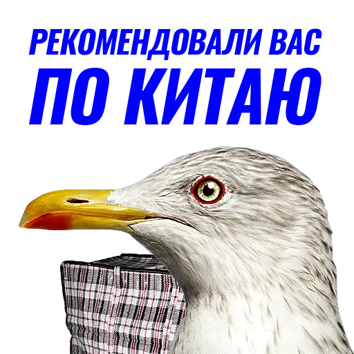 Стикер Чaйка