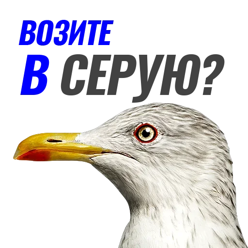 Стикер Чaйка