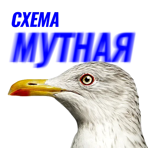 Стикер Чaйка