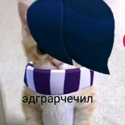 Стикер чткл