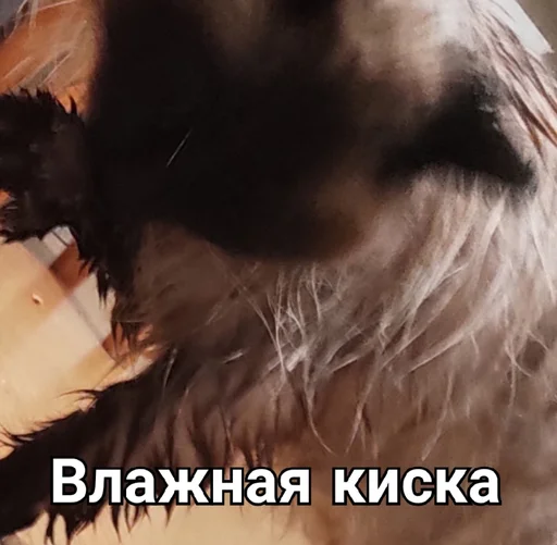 Стикер Черномырдин