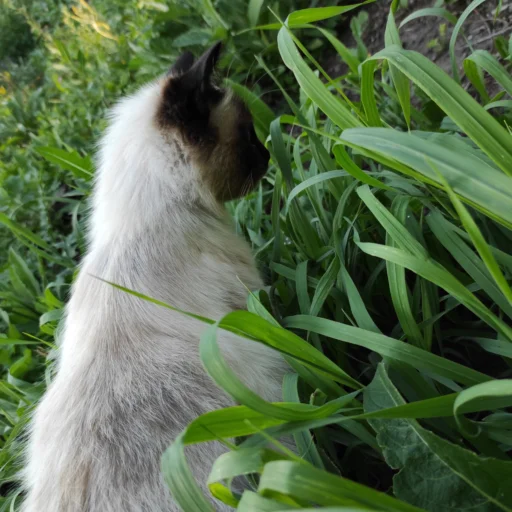 Стикер Черномырдин