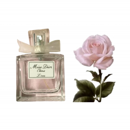 Стикер Random | Рандом