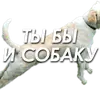 Стикер ЧленоПак