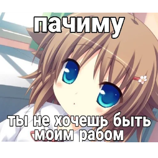 Стикер иля гений