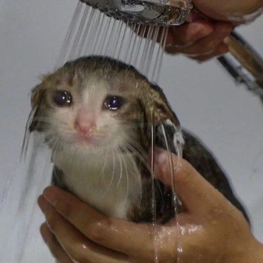 Стикер closticks10!