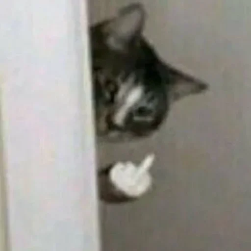 Стикер closticks10!