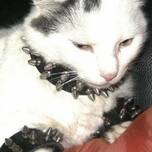 Стикер closticks10!