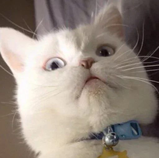 Стикер closticks14!