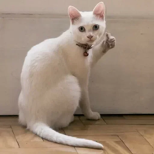 Стикер closticks14!