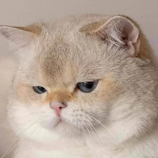 Стикер closticks16!