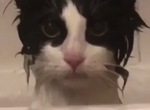 Стикер closticks16!