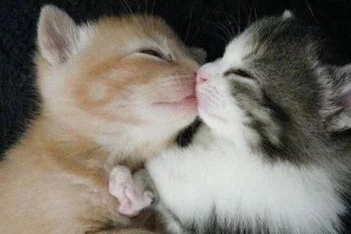 Стикер closticks8!