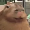 😃