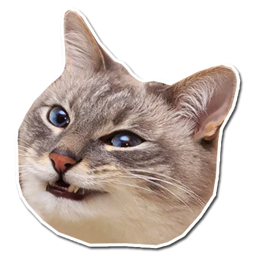 Стикер Stupid stickers