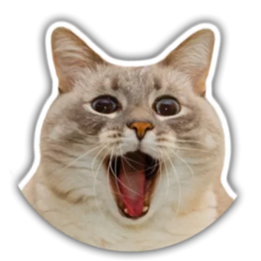 Стикер Stupid stickers