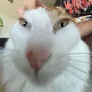 😳
