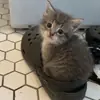 🥺