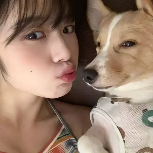 Стикер как же я лбблю кореяночек