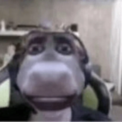 Стикер dyrachyo