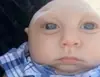 Стикер Memes | Мемы