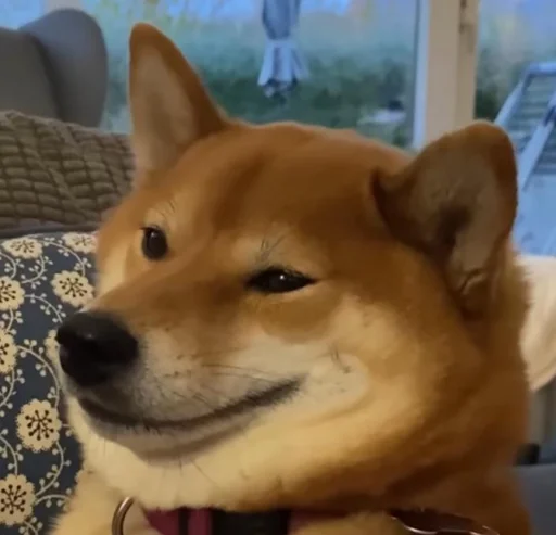 Стикер Для важливих перемовин