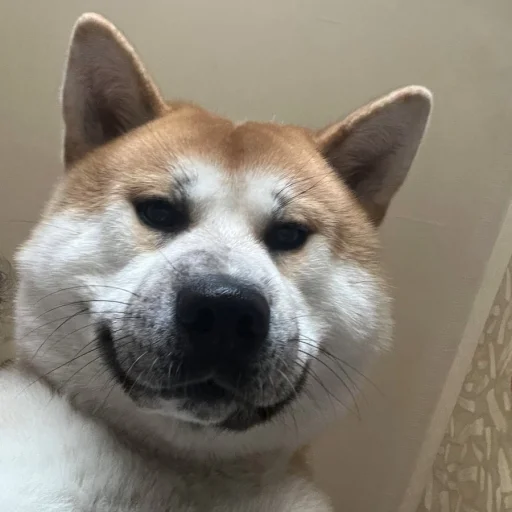 Стикер Для важливих перемовин