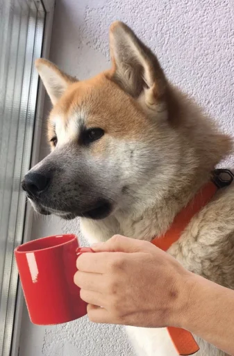 Стикер Для важливих перемовин