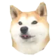 Стикер Doge