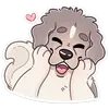 🐶