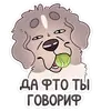 Стикер Дуняша