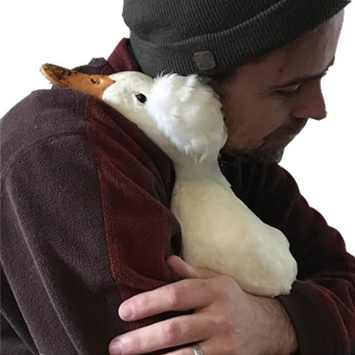 Стикер Гуси