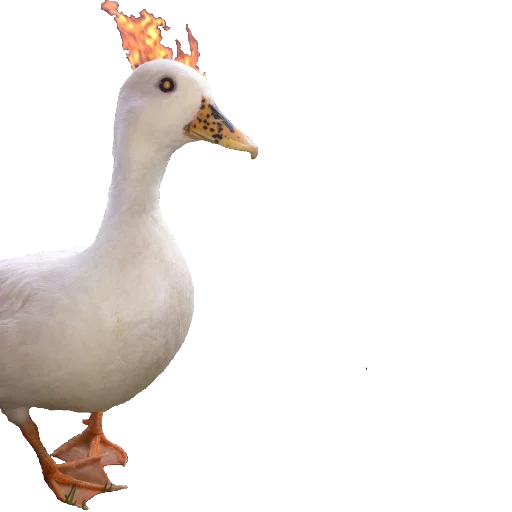 Стикер Гуси