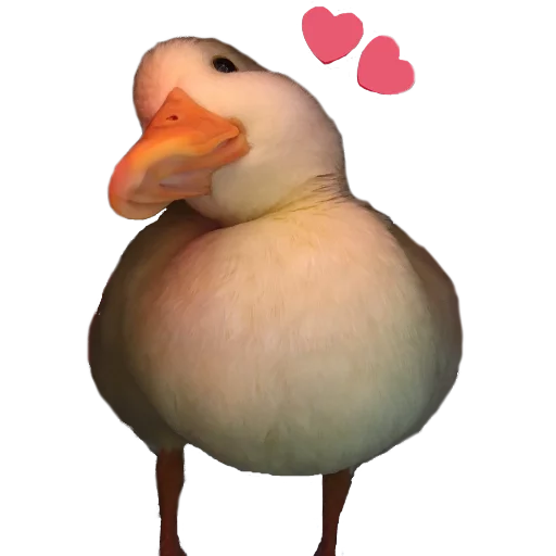 Стикер Гуси