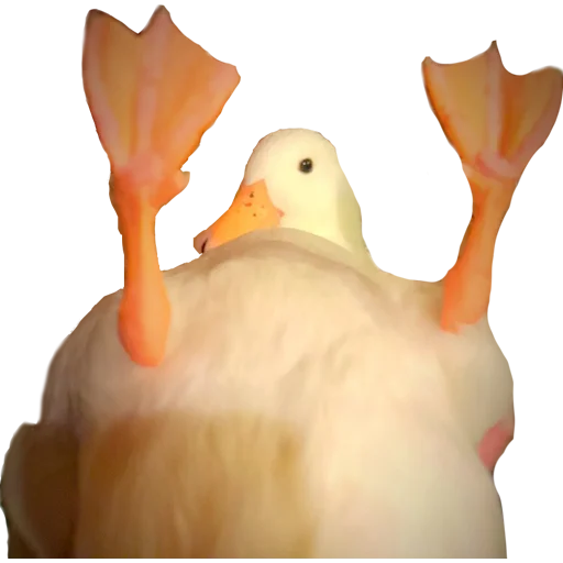 Стикер Гуси