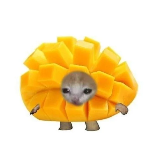 Стикер Cats memes