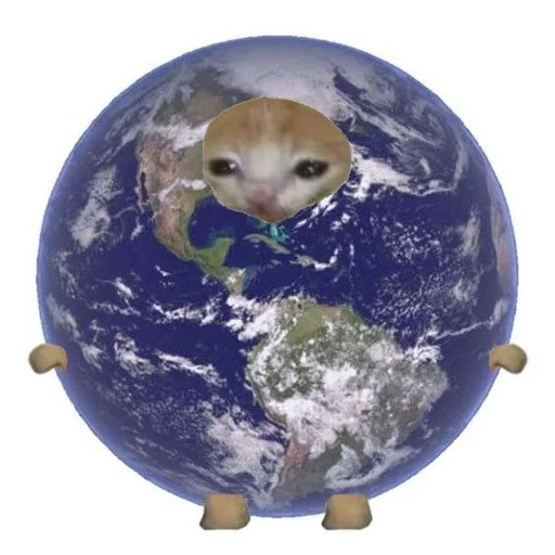 Стикер Cats memes