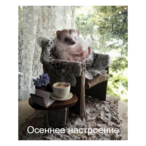 Стикер Ежики