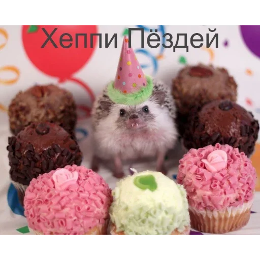 Стикер Ежики