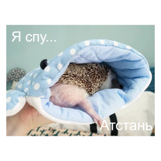 Стикер Ежики