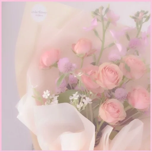 Стикер Honkai Impact 3rd