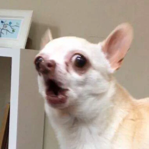 Стикер вместо тысячи слов