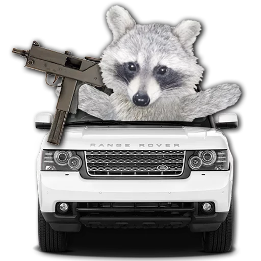Стикер famous racoon